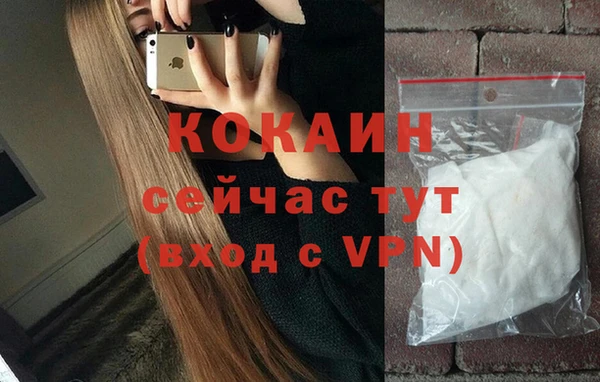 сатива Ладушкин