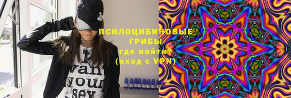 сатива Ладушкин