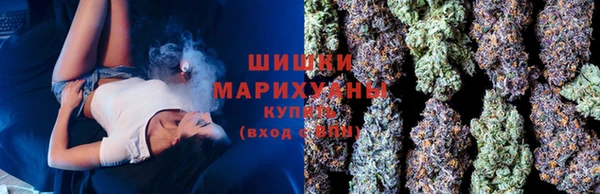 сатива Ладушкин
