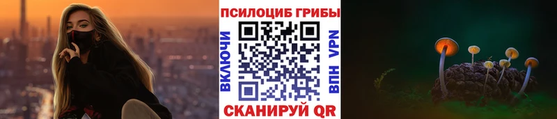 Купить где  Вышний Волочёк  Псилоцибиновые грибы Psilocybe 