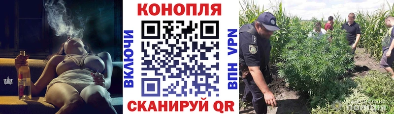 Канабис MAZAR  Купить  Вышний Волочёк 